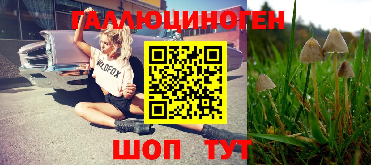 Псилоцибиновые грибы MAGIC MUSHROOMS  Жигулёвск 