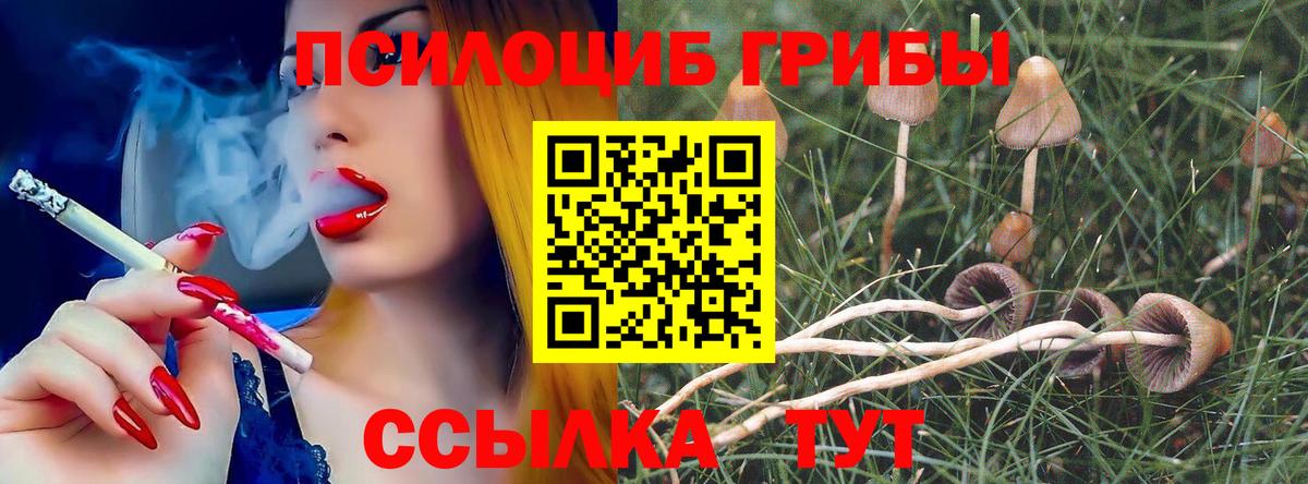 Жигулёвск  Галлюциногенные грибы Psilocybe  Псилоцибиновые грибы GOLDEN TEACHER  где купить наркоту  Вход с VPN 